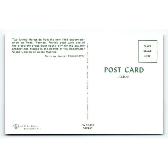 Weeki Wachee Springs Mermaid Postcard, Two Women Underwater Show Florida 1968 - Picture 2 of 2